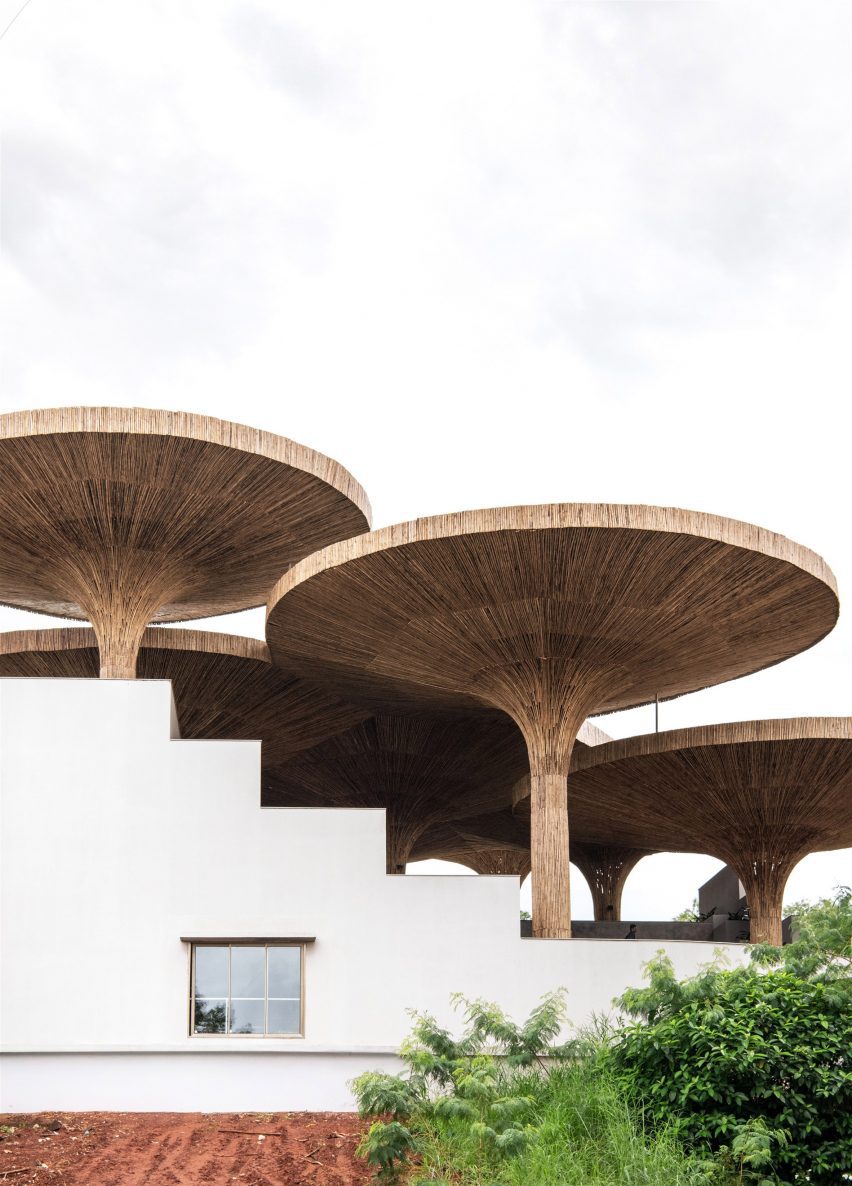 Bamboo-clad parasols