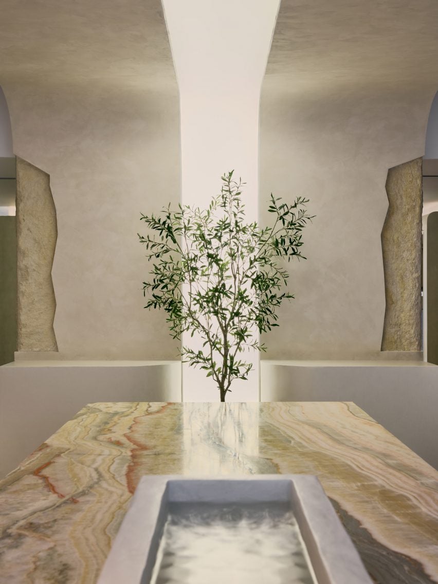 An olive tree in front of a vertical light box 